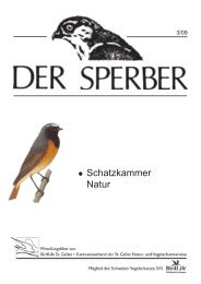 Sperber 3/09 - BirdLife St.Gallen