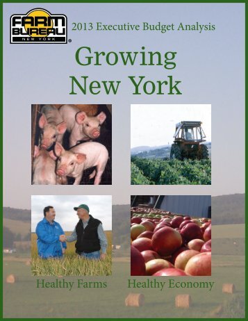 Budget Analysis - New York Farm Bureau