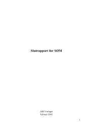 Slutrapport for SÃM - Info