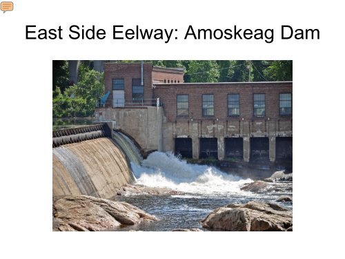 Upstream passage for the American eel