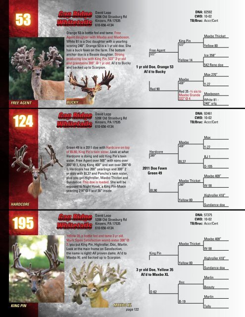 RWJ Whitetails - Whitetail Deer Farmer