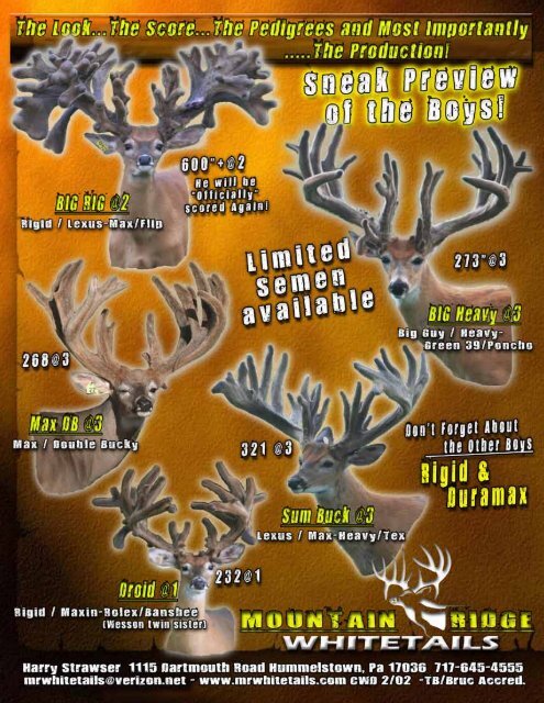 RWJ Whitetails - Whitetail Deer Farmer