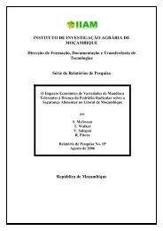 O Impacto EconÃ³mico de Variedades de Mandioca Tolerantes Ã  ...