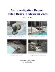 An Investigative Report - Polar Bears in Mexican Zoos