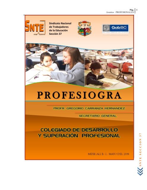 Profesiograma 2008 - Snte37.com