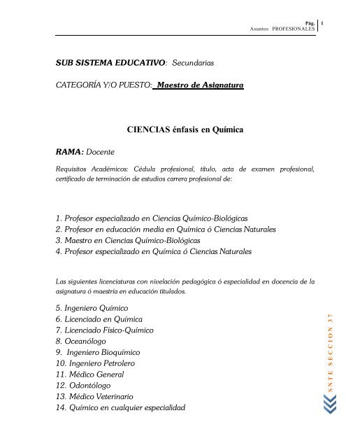 Profesiograma 2008 - Snte37.com