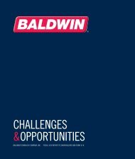 challenges &opportunities - Baldwin Technology Company, Inc.