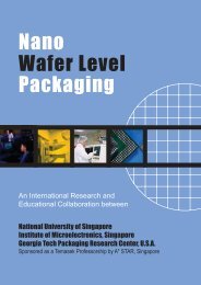 Packaging Nano Wafer Level - National University of Singapore