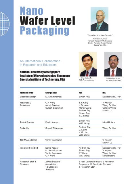 Packaging Nano Wafer Level - National University of Singapore