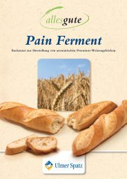 Pain Ferment - MeisterMarken