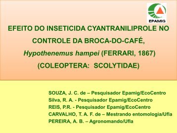 Efeito do inseticida Cyantraniliprole no controle da broca-do-café