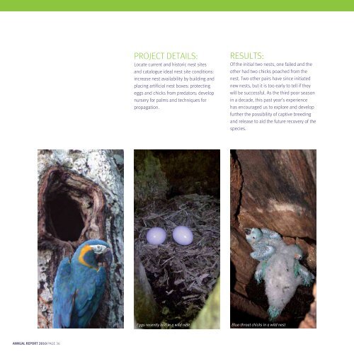 annual report - The Mohamed bin Zayed Species Conservation Fund