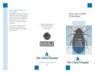 How Can I Get Rid Of Bed Bugs? - The Christ Hospital