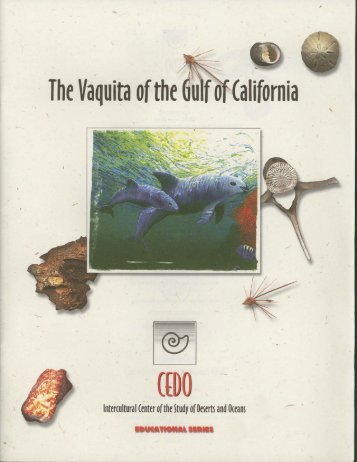 The Vaquita of the (alifornia - ¡Viva Vaquita!