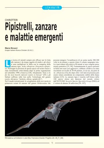 Pipistrelli, zanzare e malattie emergenti - Chiroptera Italica