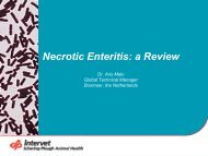 Necrotic Enteritis: a Review - Sinervia