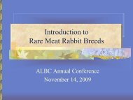 Introduction to Rare Meat Rabbit Breeds - American Livestock ...