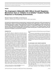 The Angiosperm Gibberellin-GID1-DELLA Growth ... - The Plant Cell
