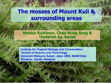 The mosses of Mount Kuli & surrounding areas - Akademi Sains ...