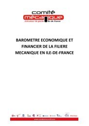 Monographie sectorielle 2008 (format PDF - 2,82 Mo ) - ComitÃ© ...