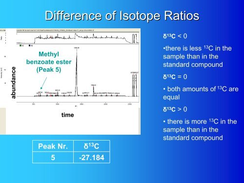 Gas Chromatography Isotope Ratio Mass Spectrometer (GC IRMS)