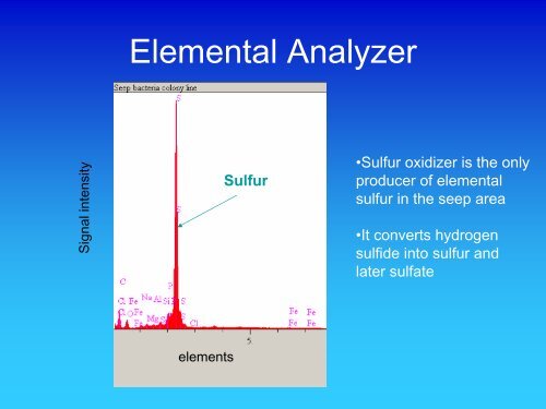 Gas Chromatography Isotope Ratio Mass Spectrometer (GC IRMS)