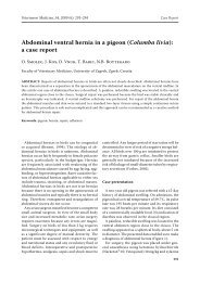 Abdominal ventral hernia in a pigeon (Columba livia): a case report