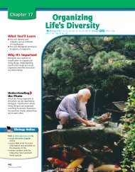 Chapter 17: Organizing Life's Diversity