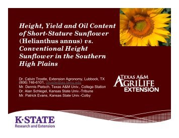 Height, Yield and Oil Content of Short-Stature Sunflower (Helianthus ...