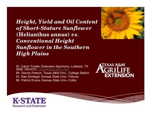 Height, Yield and Oil Content of Short-Stature Sunflower (Helianthus ...