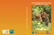 Download - Global Tiger Initiative