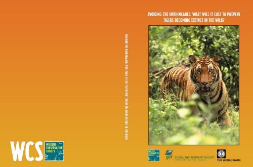 Logging of Russian Far East damaging tiger habitat, few intact forests  protected (Part I)