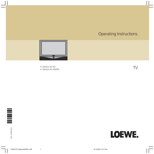 Operation on the signal box - Loewe