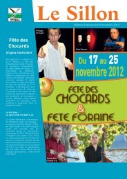 Le Sillon de Novembre 2012 - Yffiniac