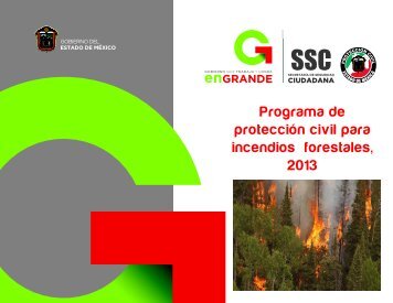 Programa de protección civil para incendios forestales, 2013