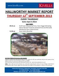 HALLWORTHY MARKET REPORT - Kivells