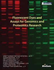 Fluorescent Dyes and Assays for Genomics and ... - Interchim