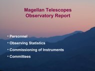 Associate director's report - MagellanTech