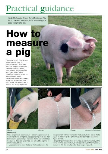 How to Measure a Pig