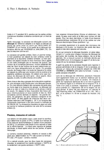 Influence de la castration partielle et totale sur les paramÃ¨tres d ...