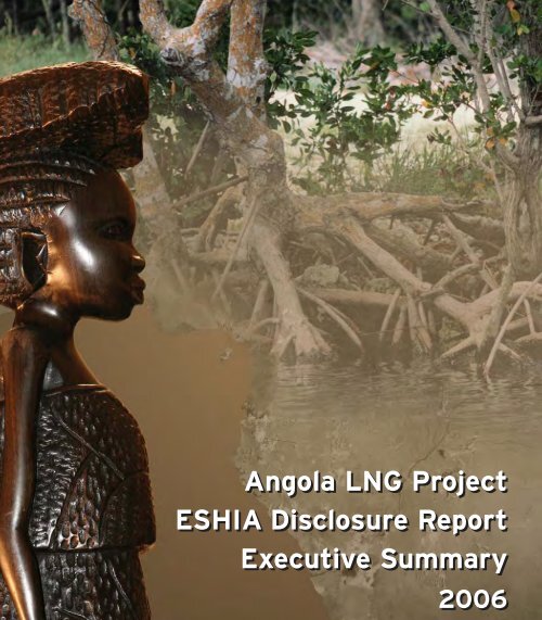 Angola LNG Project ESHIA Disclosure Report Executive Summary ...