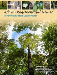 Ash Management Guidelines - My Minnesota Woods - University of ...