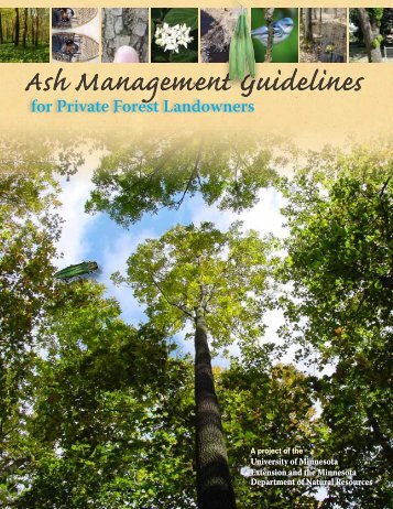 Ash Management Guidelines - My Minnesota Woods - University of ...