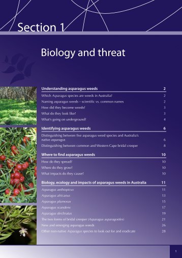 Section 1. Biology and Threat - Weeds Australia