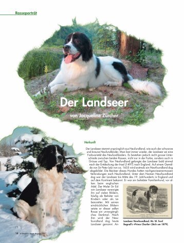 Der Landseer