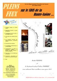 pleins feux nÂ°33, 4e trim 2009 - Service DÃ©partemental d'Incendie et ...