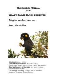 Husbandry Manual For Yellow-Tailed Black Cockatoo - Nswfmpa.org