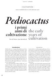 the early years of cultivation i primi anni di coltivazione - Cacti Guide