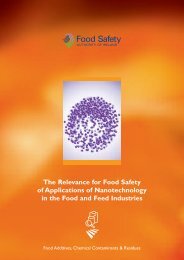 The Relevance for Food Safety of Applications of Nanotechnology in ...