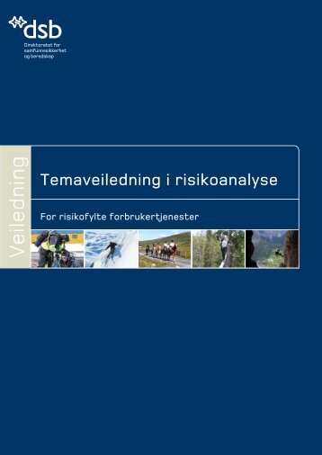 Temaveiledning i risikoanalyse for risikofylte forbrukertjenester